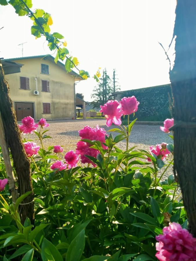 Corte Ohana Monteforte d'Alpone Luaran gambar